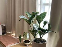 -瑶舍头疗·瑶浴·芳香热石SPA(五洲国际店)