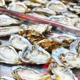 🦐珠海长隆吃货必看！这家11年老店直接封神