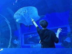 -成都浩海立方海洋公园