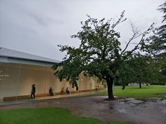 -金泽21世纪美术馆