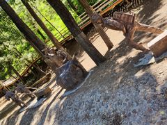 -蟠龙山长城景区