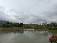 -森波拉火山温泉