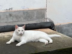 -阿育王寺
