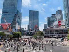 -涩谷全向十字路口