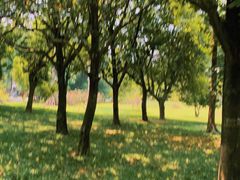 -华南国家植物园-售票处