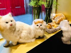 -人民公园(罗湖区)