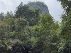 -武夷山风景名胜区-玉女峰