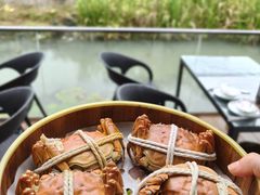 -七的湖·晚芳亭·阳澄湖农家菜·大闸蟹(莲花岛店)