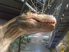 -湖南省地质博物馆