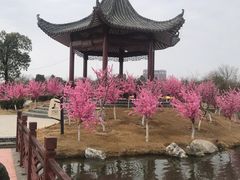 -木兰水镇旅游景区