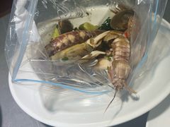 -魚當家