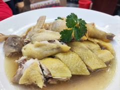 招牌清水鸡-馨越楼·点心·粤菜(赤坎店)