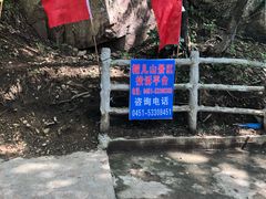 -帽儿山风景区