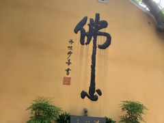 -普陀山风景名胜区-法雨禅寺