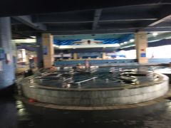 -晋爵会游泳馆(海湾公园店)