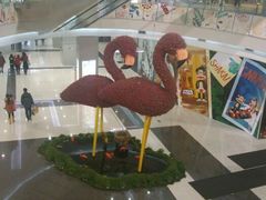 android_upload_pic-凯德广场(学府店)