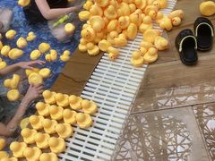 -环球中心海洋乐园
