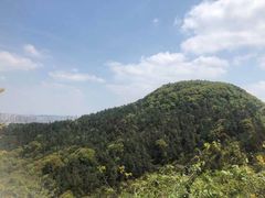 -灵岩山风景区