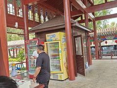 -滕州微山湖红荷湿地景区