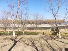 -北龙湖湿地公园