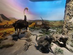 -国家自然博物馆