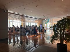 -上海佘山世茂艾美酒店