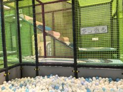 -MELAND CLUB亲子乐园·派对·餐厅(北京芳圆里ID MALL店)