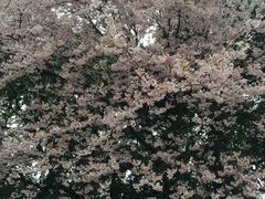-杭州少年儿童公园