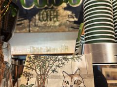 -CABO Coffee