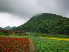 -广州市石门国家森林公园