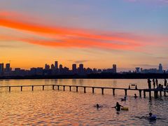 -循礼门鲜花花市(武汉循礼门店)