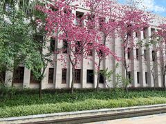 -抚仙湖万达文华酒店