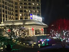 -龙熙维景国际会议中心