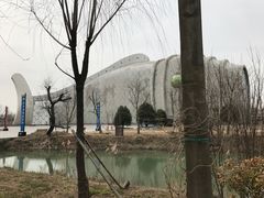 -泗洪洪泽湖湿地景区