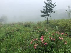 -鳌山滑雪度假区