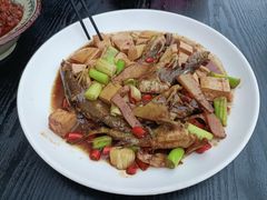 -柘林湖生态鱼馆