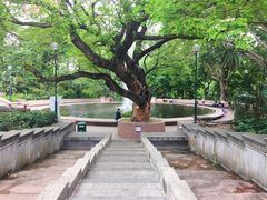 景点-九龙公园