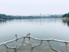 -枫香湖儿童公园