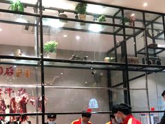 -潮发潮汕牛肉店(芳村店)