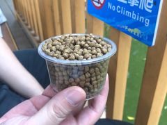 -深圳野生动物园