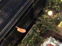 -萨芭蒂高空花园餐酒吧
