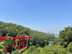 -深圳国际园林花卉博览园