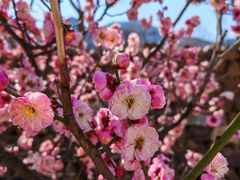 -汉长安城未央宫国家考古遗址公园