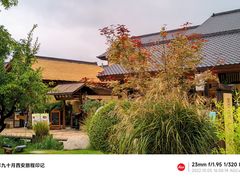 -诗经里