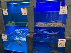 水产区-宁波状元楼酒店(和义路店)