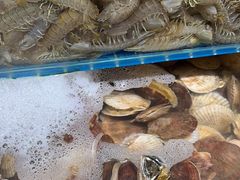 -港畔赶海蒸汽海鲜烧烤自助(仙螺岛店)