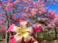 -风云岭森林公园