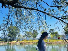 -晓琦农家菜馆·地道农家菜