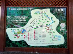 -野象谷景区