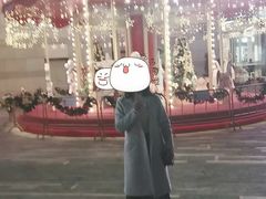 -深圳龙华星河COCO City(民治店)